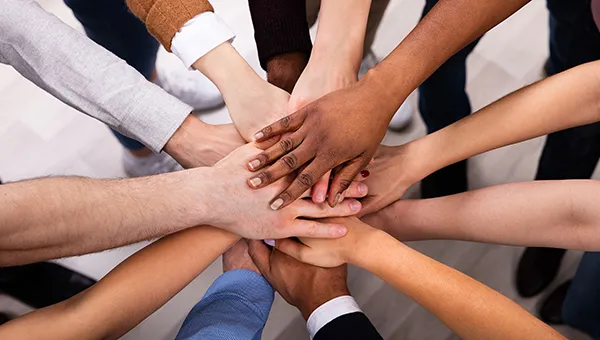 Human rights protection/NGOs